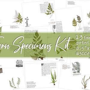 Fern Specimens - Digital Download - INK SAVING - Junk Journal and Paper Arts Kit  - (13 digital pages)