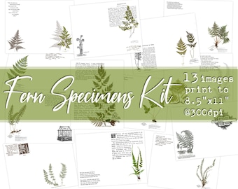 Fern Specimens - Digital Download - INK SAVING - Junk Journal and Paper Arts Kit  - (13 digital pages)