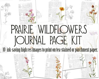 Prairie Wildflowers Journal Page Kit - INK SAVING images to print on tea stained or parchment paper - junk journal (10 digital page spreads)