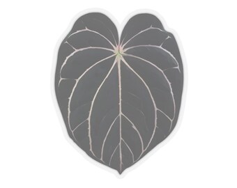 Pegatina de hoja de Anthurium Carlablackiae / Hoja Corazón Oscuro / Calcomanía botánica para portátil con forma de hoja de Anthurium