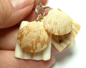 Seashell Earrings Natural Organic Gulf Coast Shells Ocean Jewelry CLAM UP Oyster Washboard Pair