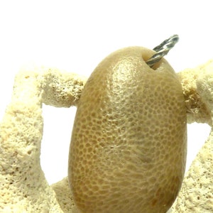 Puede incluir: Un colgante ovalado de color beige con una superficie texturizada y un lazo de alambre plateado para colgarlo. El colgante se muestra sobre un fondo blanco y un trozo de coral blanquecino.