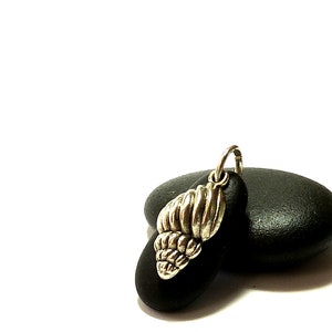 May include: A silver seashell pendant hangs from a small loop on a black stone. The pendant is detailed with ridges and curves, and the stone has a smooth, polished surface. The background is white.