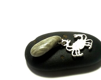 CRUSTY CRAB Authentic Drilled Fossil Rock with Silver Plated Charm Necklace Pendant Dangle Pebble Charm Rock Stone Jewelry