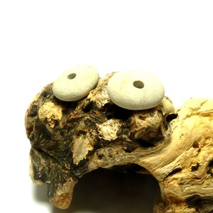 May include: Two light beige, donut-shaped stones with central holes rest on a piece of driftwood. The driftwood has a textured, organic appearance with a mix of brown, tan, and black tones. The background is plain white.