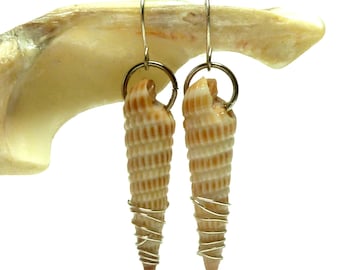 Sea Shell Earrings Cone Shells Seashells Pair Silver Wrapped Jewelry 999 PURE Silver Wire Ocean Love Beach Jewels ANDALUSIA