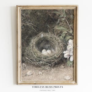 Antique Bird Nest Print Digital Download | Vintage Spring Bird's Nest Eggs Painting Printable Country Farmhouse Wall Art Rustic Forest Decor