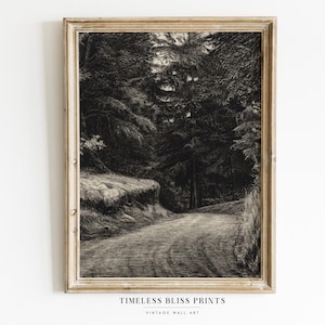Op de afbeelding: Een zwart-wit vintage foto van een kronkelende weg door een dicht bos. De afbeelding is ingelijst in een licht houten lijst.