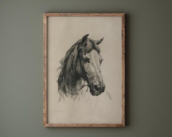 Antique Horse Sketch Printable Digital Download | Vintage Neutral Beige Wall Art Antique Vintage Horse Drawing Print Sepia Equestrian Decor