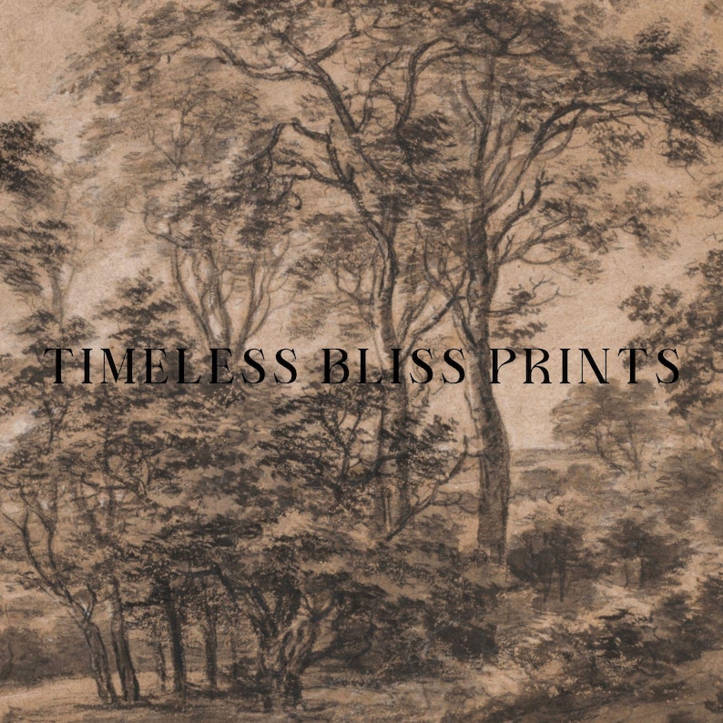 Vintage Moody Forest Landscape Vintage Printable Art Antique Moody Landscape Print Brown Landscape Charcoal Trees Dark Brown Wall Art Sketch image 4