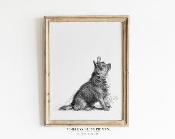Vintage Black White Dog Drawing Print Digital Download Vintage Dog Sketch Wall Art Terrier Printable Sitting Dog