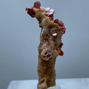 Rare Vanadinite Crystal on Fossil Shell Natural Moroccan Mineral Specimen Collector Display Hexagonal