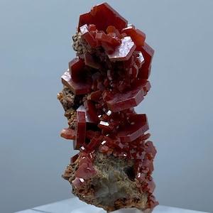 Rare Vanadinite Crystal on Fossil Shell Natural Moroccan Mineral Specimen Collector Display Hexagonal