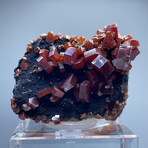 Könnte beinhalten: Mineralprobe mit leuchtend rot-orangen Kristallen auf einer dunklen, strukturierten Matrix. Die Kristalle haben eine geometrische, eckige Form. Die Probe wird auf einem transparenten Acrylständer präsentiert, um ihre natürliche Schönheit hervorzuheben.