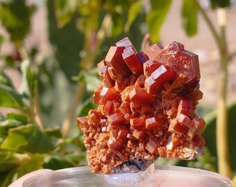 Vanadinite on Matrix Top Crystals, Natural Stone Decor for Healing and Collectors, Perfect Gift for Geology Lovers