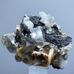 May include: A close-up of a mineral specimen featuring clear quartz crystals with defined points, contrasted against dark, granular mineral matter. The crystals display a range of sizes and shapes, with some showing a subtle yellow tint. A natural mineral cluster.
