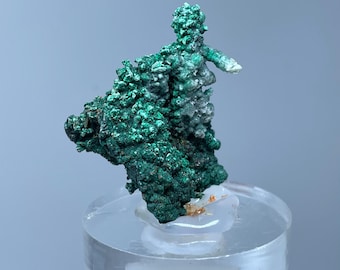May include: A green and white malachite mineral specimen with a unique, organic shape. The specimen is displayed on a clear acrylic base.