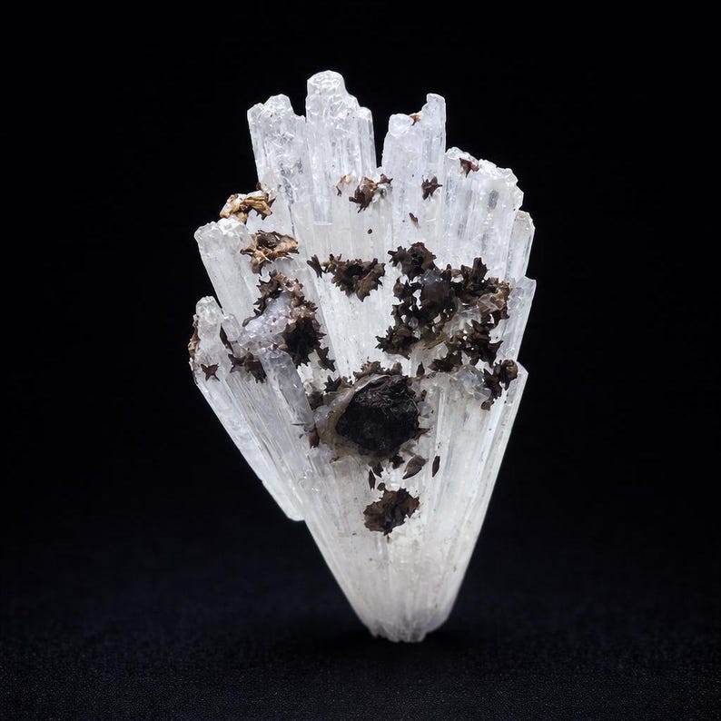 May include: A clear, crystalline mineral specimen with a cluster of elongated, translucent crystals. The crystals are accented with dark brown, star-shaped formations and a dark, rounded inclusion. The background is black.