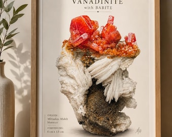 Vanadinite with Barite Printable Wall Art | Morocco Mineral Crystal Illustration | Vintage Geological Poster | Digital Download