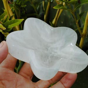 May include: A white, star-shaped selenite dish. The dish is carved from a single piece of selenite and has a smooth, polished finish.