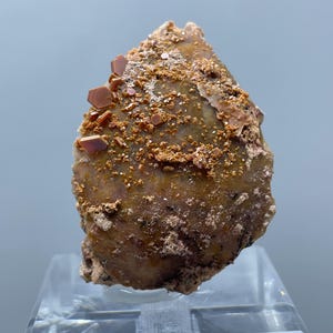 Könnte beinhalten: Natürliches Mineralpräparat mit rauer, strukturierter Oberfläche in Braun- und Beigetönen. Kleine, rotbraune Kristalle sind auf der Oberseite verstreut. Das Mineral befindet sich auf einem transparenten Präsentationsständer. Ungefähre Höhe: 5 cm.