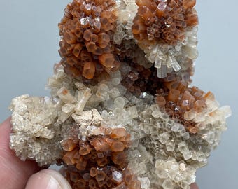 Red-Brown Aragonite Crystal Rosettes – Stunning Natural Flower-Like Formation from Morocco | Rare Collectible Mineral Specimen