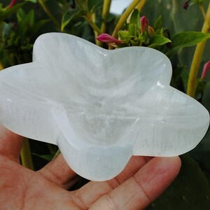 May include: A white selenite star-shaped dish. The dish is carved from a single piece of selenite and has a smooth, polished surface.