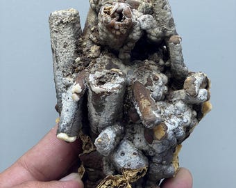 Natural Goethite on Aragonite Specimen – Earthy Tubular Crystals from Morocco | Rare Mineral Formation for Collectors and Display