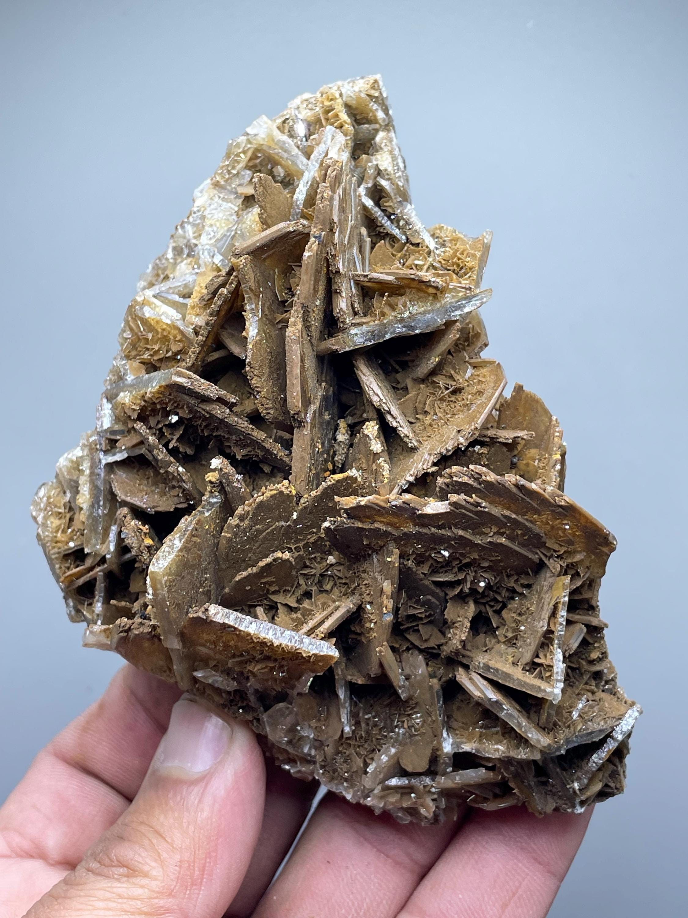 黄色のハイライトが入った茶色の重晶石結晶 - 希少なモロッコ産鉱物