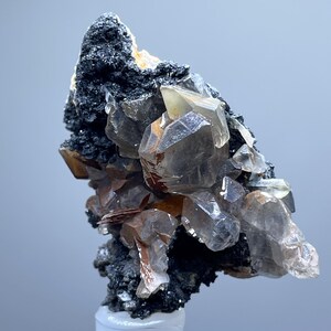 May include: A cluster of translucent, smoky quartz crystals with a dark, textured base. The crystals vary in size and shape, displaying a range of brown and clear hues. The mineral specimen is mounted on a white cylindrical base, showcasing its natural beauty.