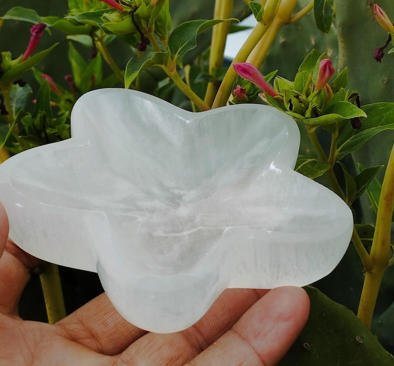 May include: A white selenite flower-shaped dish. The dish is carved in the shape of a flower with five petals. The dish is smooth and polished.