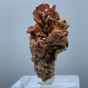 Puede incluir: Un vibrante espécimen mineral de color naranja con una estructura cristalina. El mineral está compuesto por numerosos cristales pequeños y rectangulares agrupados. La base es de color marrón terroso rugoso, y el espécimen se exhibe sobre un soporte acrílico transparente.