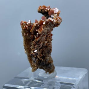 Puede incluir: Un espécimen mineral con un grupo de cristales de color naranja rojizo. Los cristales están sobre una matriz de material marrón y beige. El espécimen está montado sobre un soporte de exhibición de acrílico transparente. Los cristales miden alrededor de 1-2 cm.