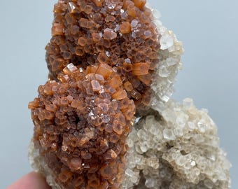 Flower-Shaped Aragonite Crystals – Rare Rosette Formation in Earthy Red Tones | Moroccan Mineral for Display and Collection