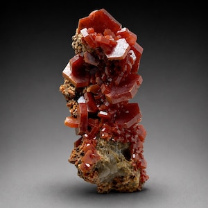 May include: A vibrant red vanadinite mineral specimen. The crystal structure features hexagonal, prismatic crystals clustered together. The base is a mix of brown and tan matrix. The overall shape is vertical, with a dark gray background.
