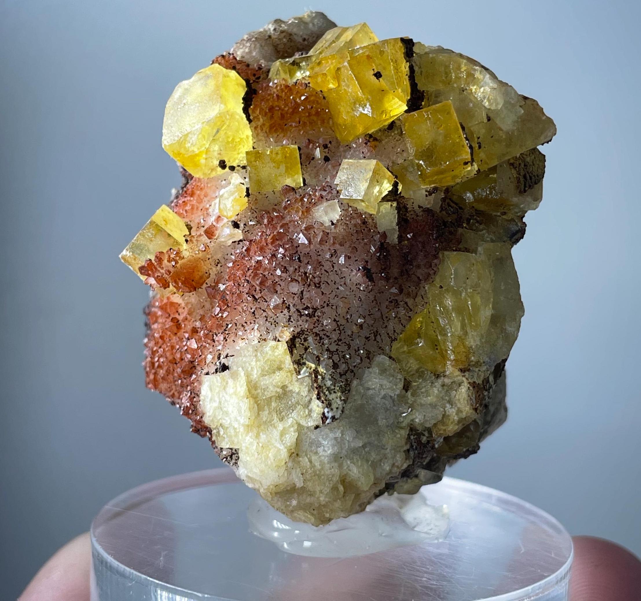 石英マトリックス上の黄色の蛍石キューブ – 良質なモロッコ産鉱物標本