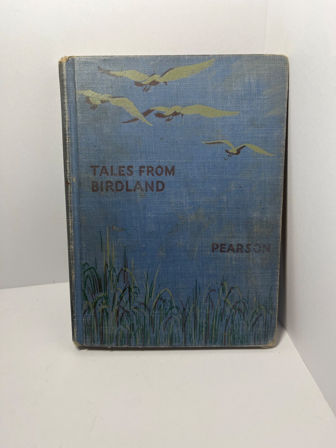 Tales From Birdland T. Gilbert Pearson 1925 Etsy