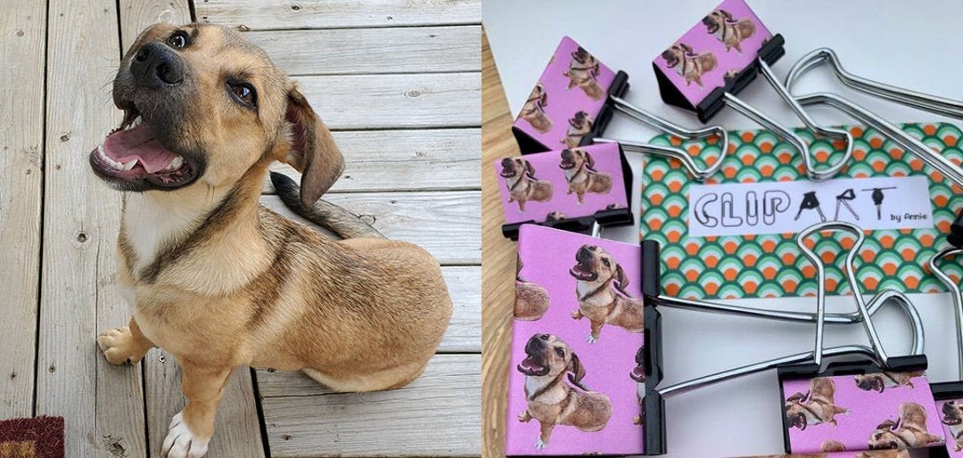 Custom Pet Clips Binder Clips Stocking Stuffer Money Etsy