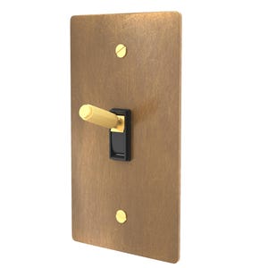 Brass Light Switch with Aged Wall Plate and Matching Screws