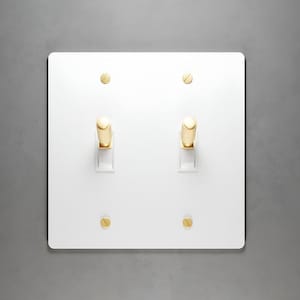 Solid Brass Light Switch with White Wall Plate and Matching Screws