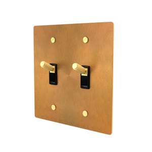 Light Switch with Unlacquered Brass Aged Wall Plate and Matching Screws