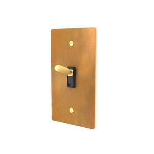 Unlacquered Brass Light Switch with Aged Wall Plate and Matching Screws