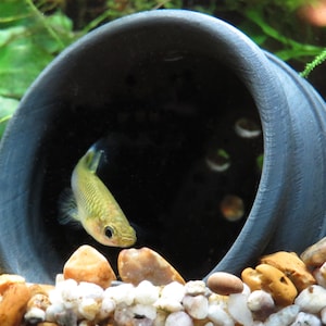 Aquarium Vase Cave Fish Hide | Suction Cups | Aquarium Decor for Shrimp, Guppies, Betta Fish