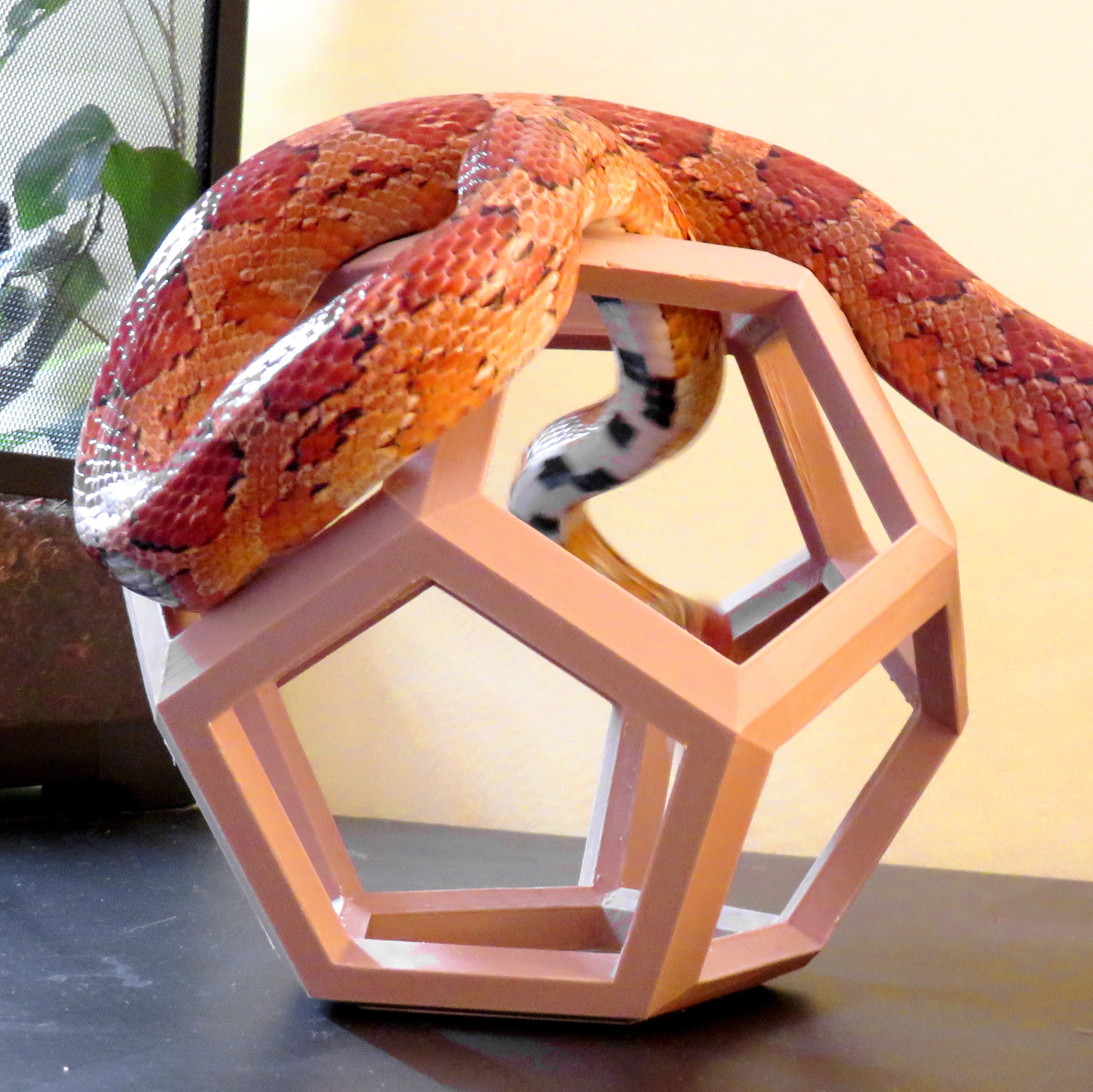 Snake Vivarium Baby Snake Enclosure Zilla Premium Snake Kit, 20