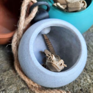 Gecko Schlaf Kapsel | Reptil Hängeversteck | Terrarium Dekor für Crested Gecko, Laubfrosch, Anolen, Einsiedlerkrebs | Benutzerdefinierte Farboptionen