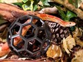 Reptile Enrichment | Slim Snake Jungle Gym Ball product logo