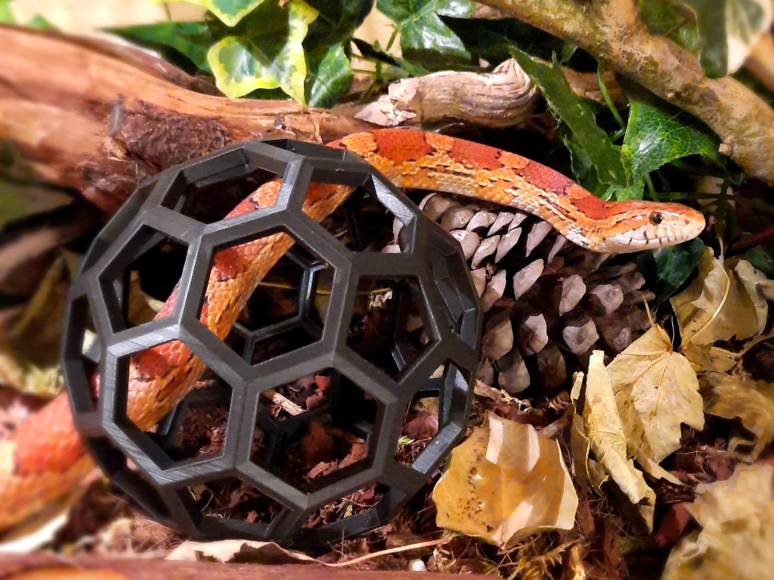 Reptile Enrichment | Slim Snake Jungle Gym Ball - Etsy