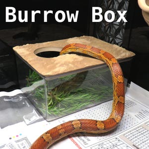 Burrow Box: Snake Sensory Enrichment Toy