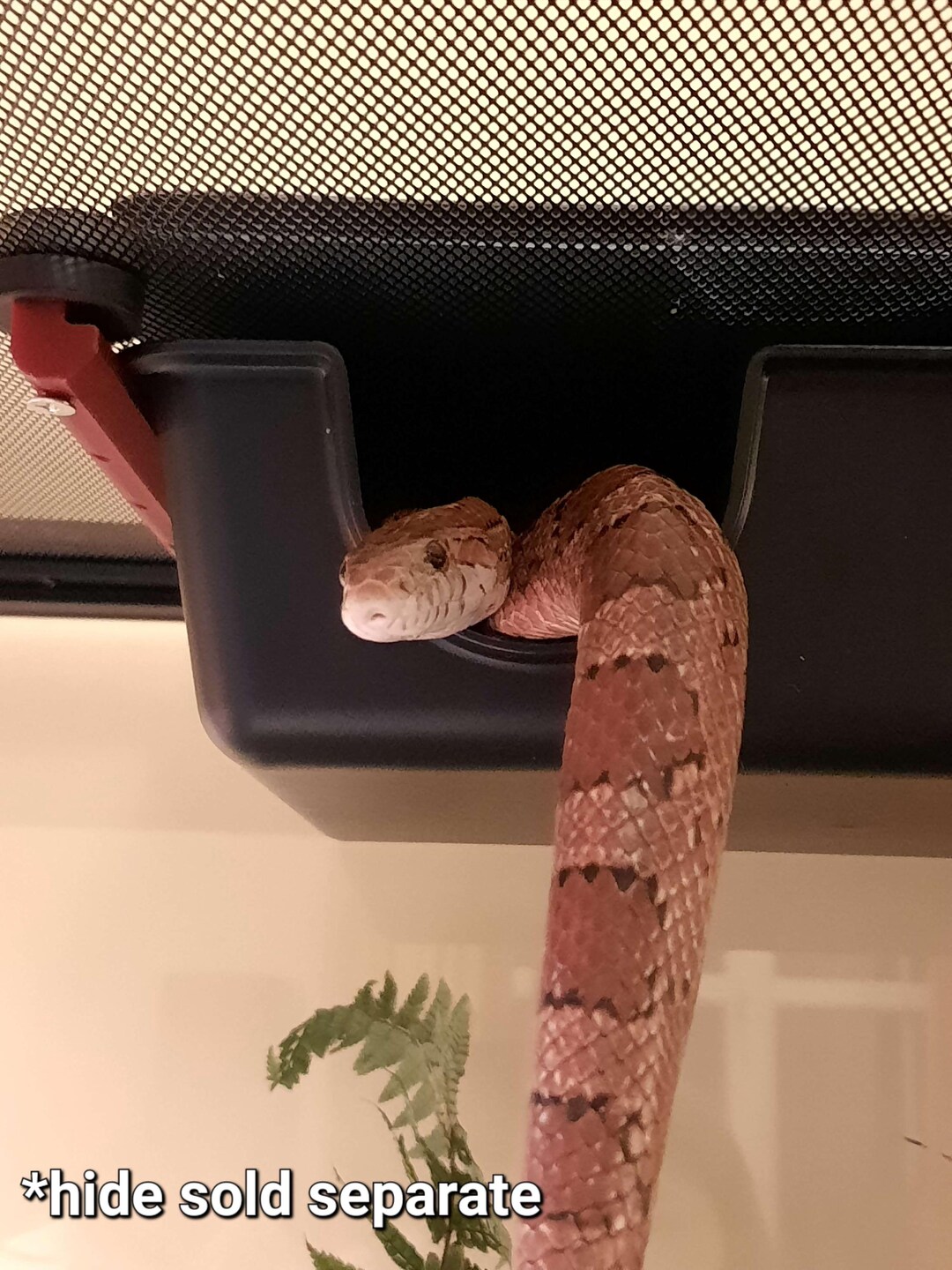 Magnetic Sky Hide-conversiekit: Arboreal Snake Hide-montagebeugel voor ...