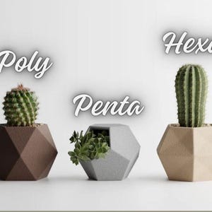 May include: Three geometric planters with different shapes and colors. The planter on the left is brown and has a hexagonal shape. The planter in the middle is gray and has a pentagonal shape. The planter on the right is beige and has a hexagonal shape. Each planter has a different type of succulent plant growing in it. The text "Poly", "Penta", and "Hexa" is written above each planter.